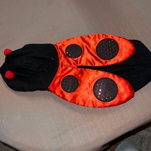 Medium Lady Bug Dog costume with hood. In excellent condition